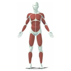 kettler multigym plus presse de musculation