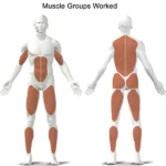 Kettler track s6 tapis roulant